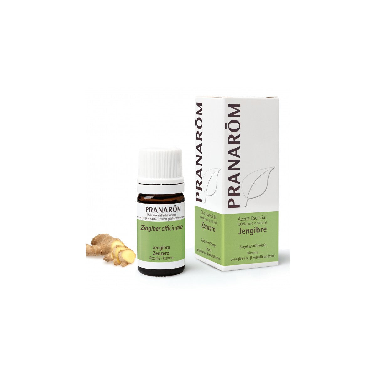 PRANAROM JENGIBRE RIZONA 5ML