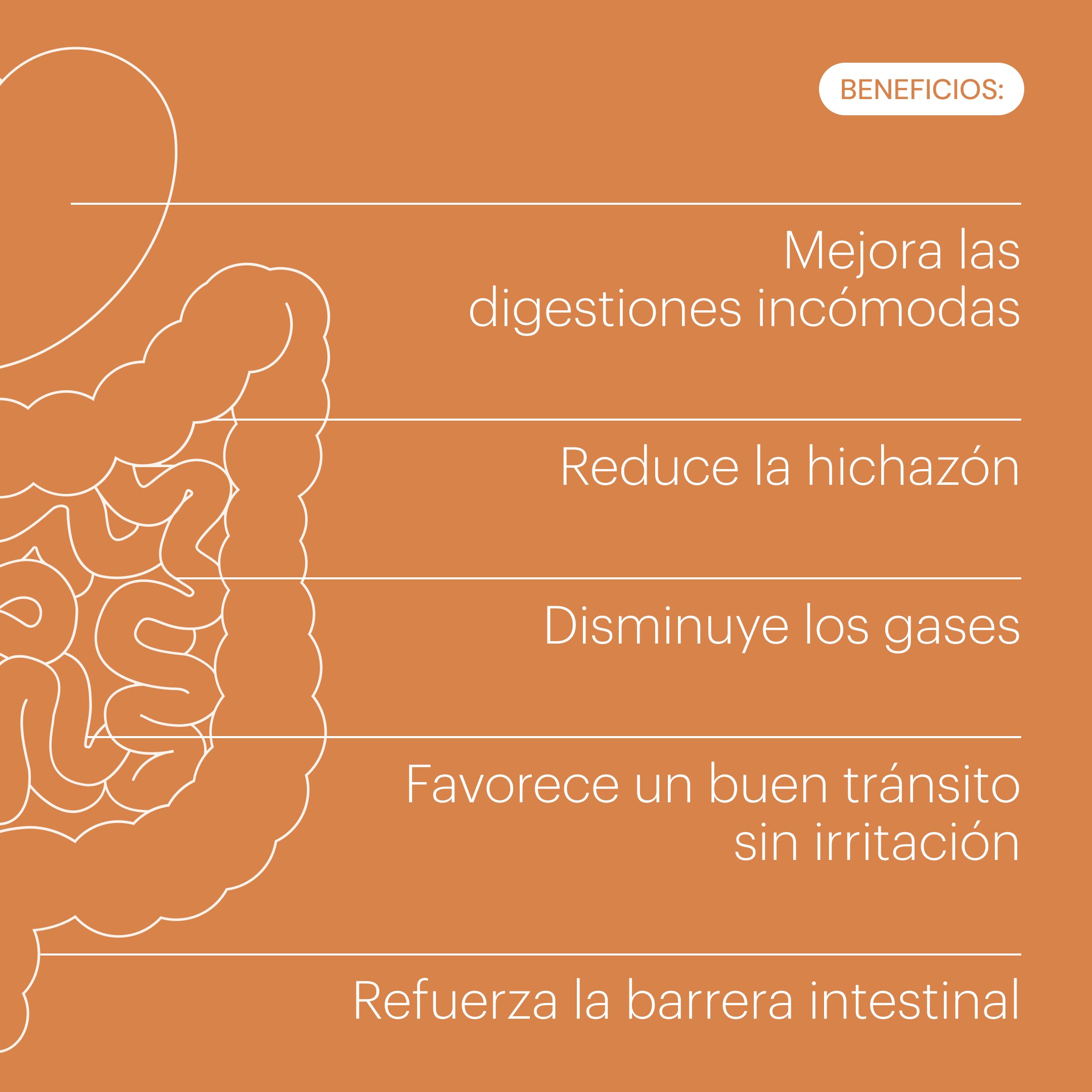 digestya