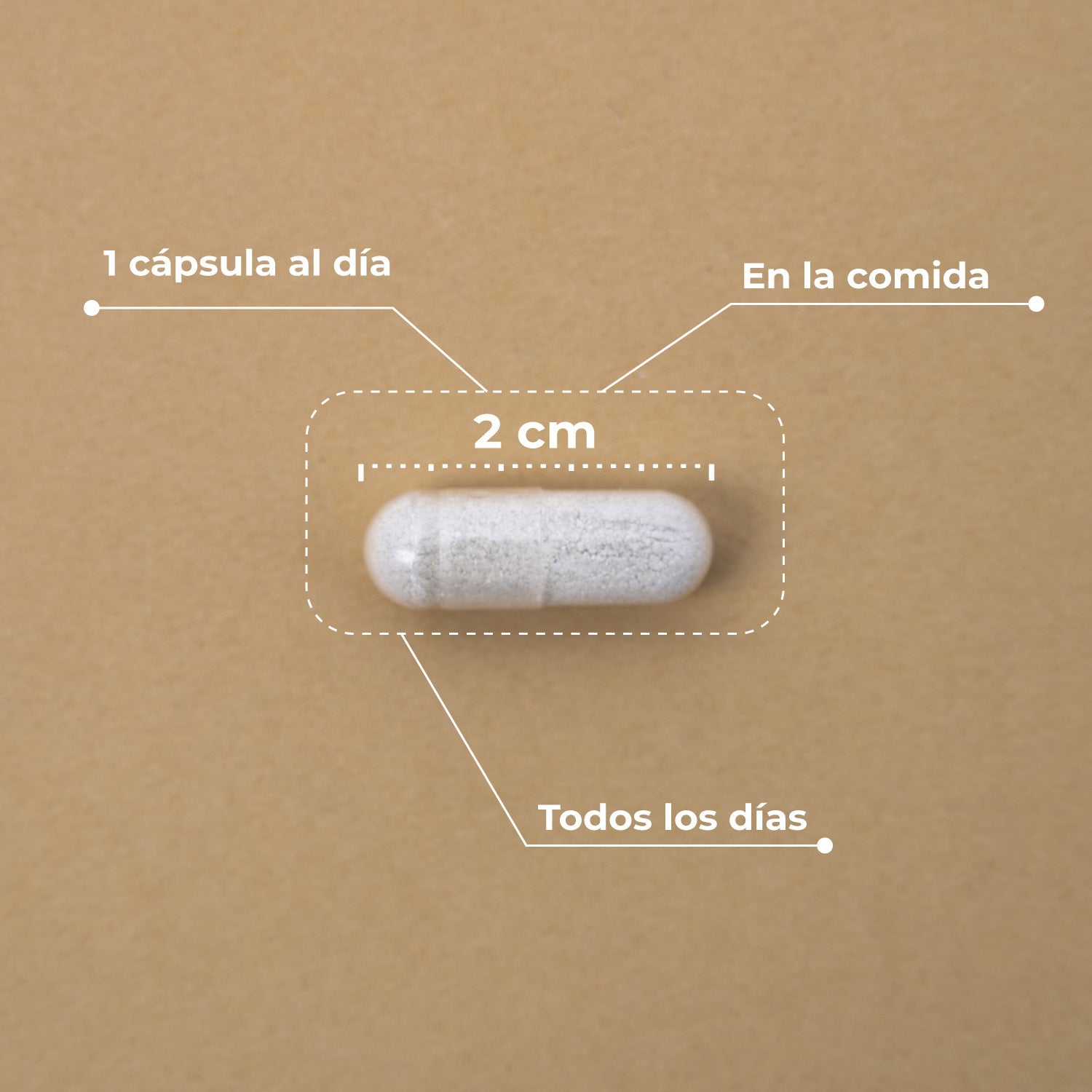 Ingredientes del Hair & Nail Booster de Kobho Labs