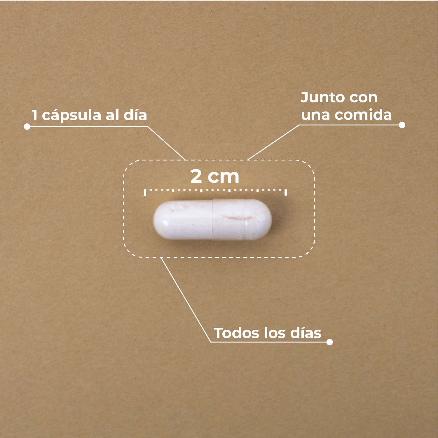 Composición de la Vitamina C liposomada con reishi de Kobho Labs