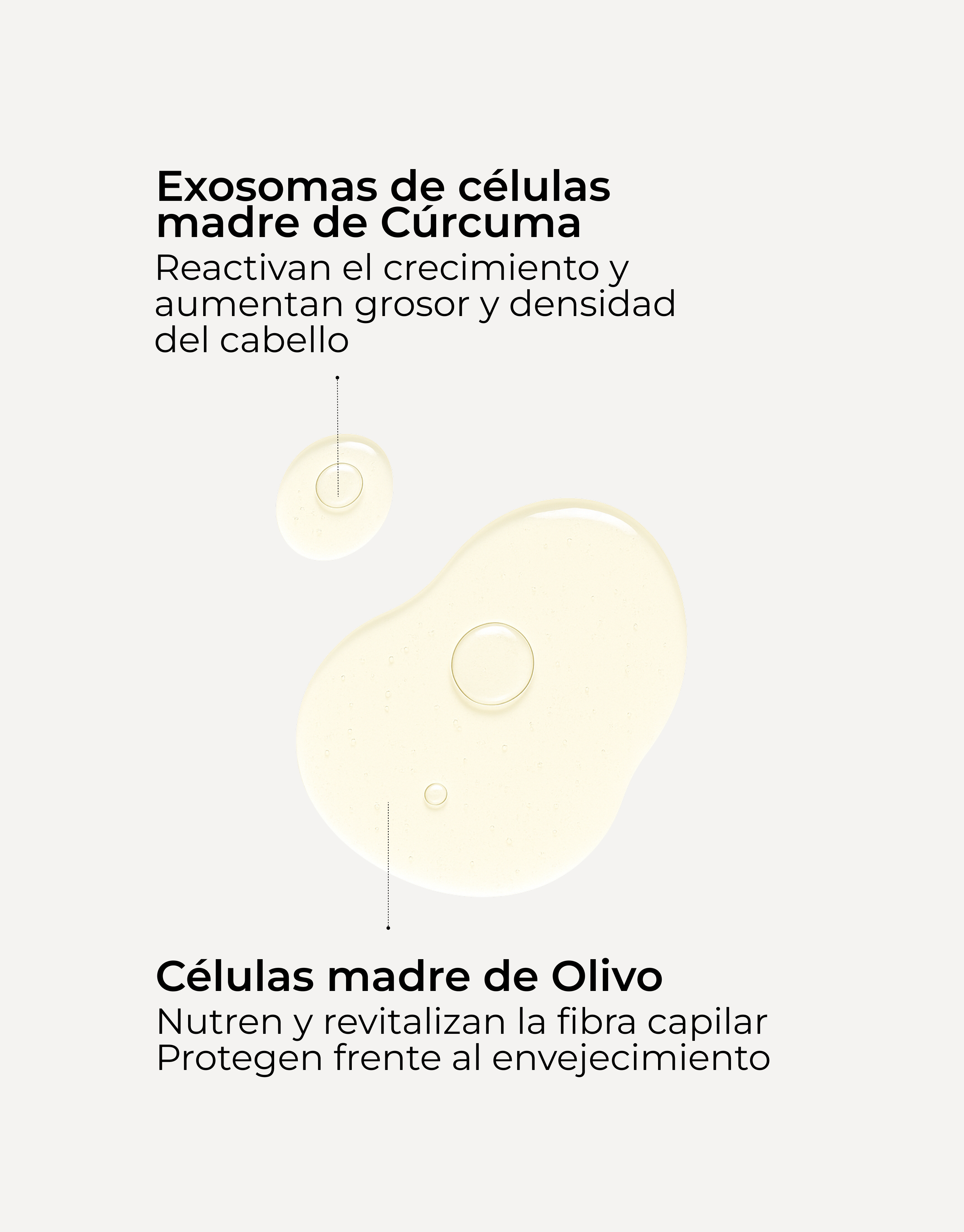Activos del sérum capilar de Segle: péptidos de cúrcuma, cafeína y pantenol